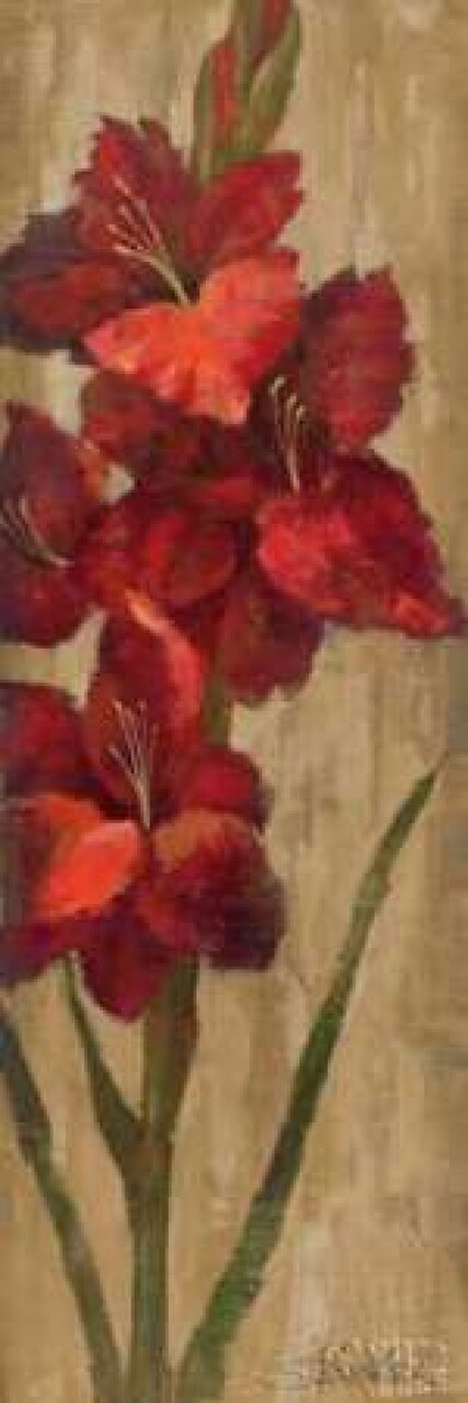 Vivid Red Gladiola on Gold Poster Print by Silvia Vassileva - Item # VARPDX4404